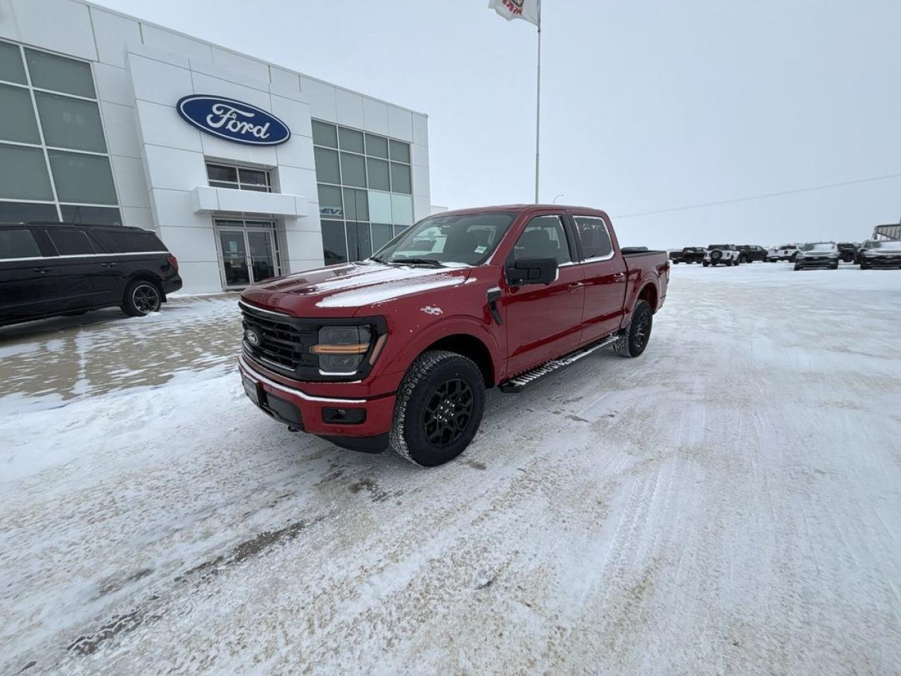 New 2025 Ford F-150 XLT for sale in Wainwright, AB