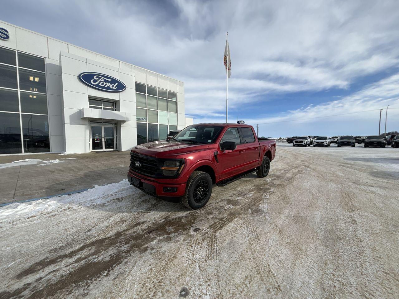 New 2025 Ford F-150 XLT for sale in Wainwright, AB