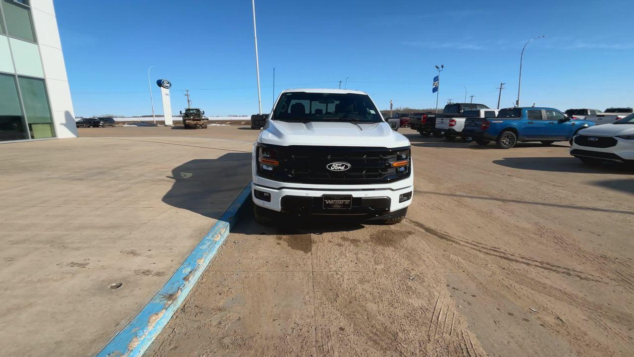 2025 Ford F-150 XLT 4WD SuperCrew 5.5' Box Photo2
