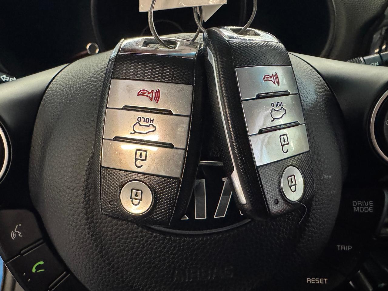 2019 Kia Soul EX PLUS+Heated Steering+Camera+CLEAN CARFAX Photo