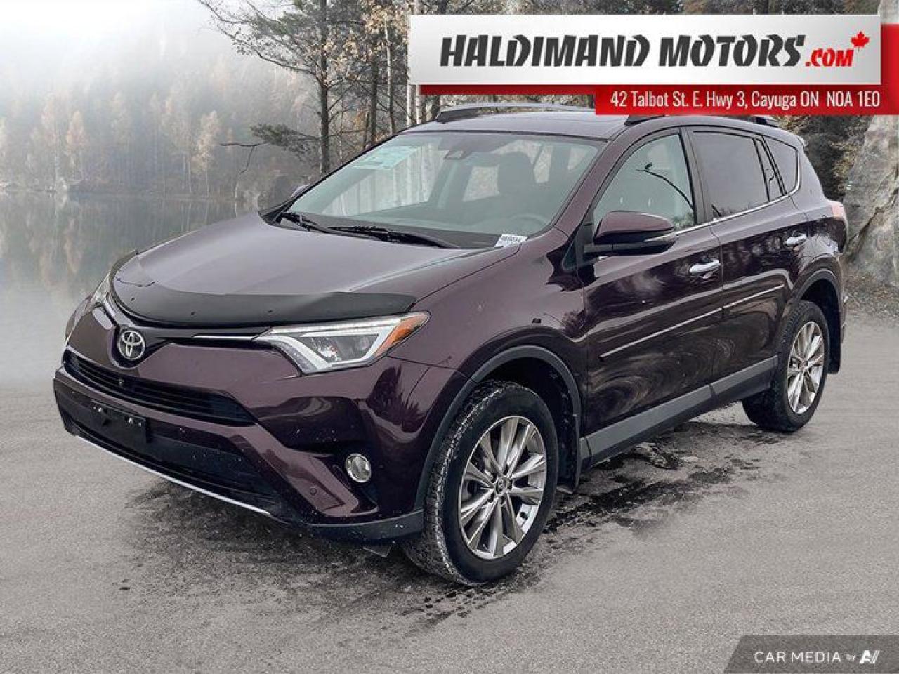 Used 2017 Toyota RAV4 LIMITED for sale in Cayuga, ON