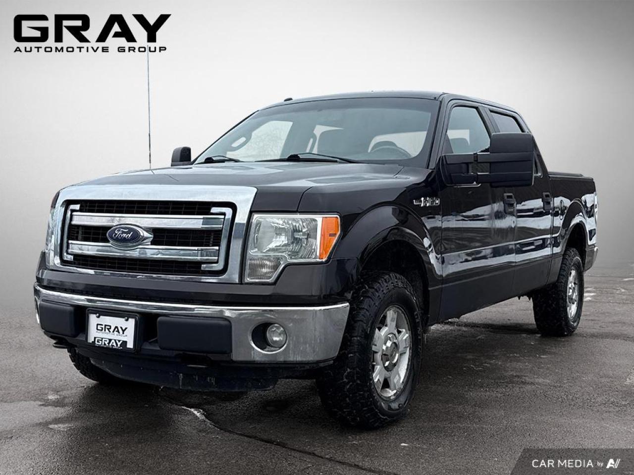 Used 2014 Ford F-150 XLT 5L V8/CERTIFIED/4x4 for sale in Burlington, ON