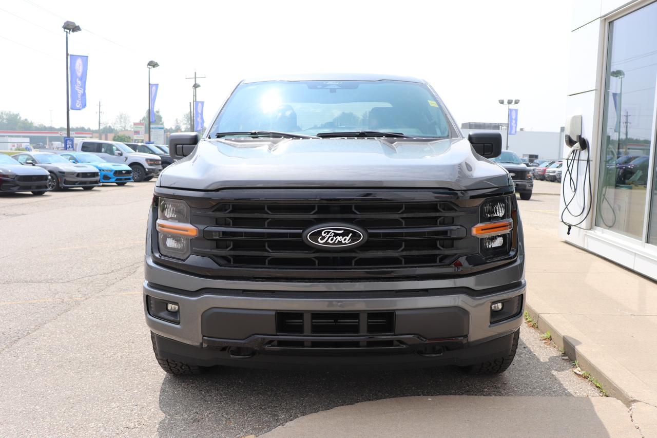 2025 Ford F-150 XLT 4WD SuperCrew 5.5' Box Photo5