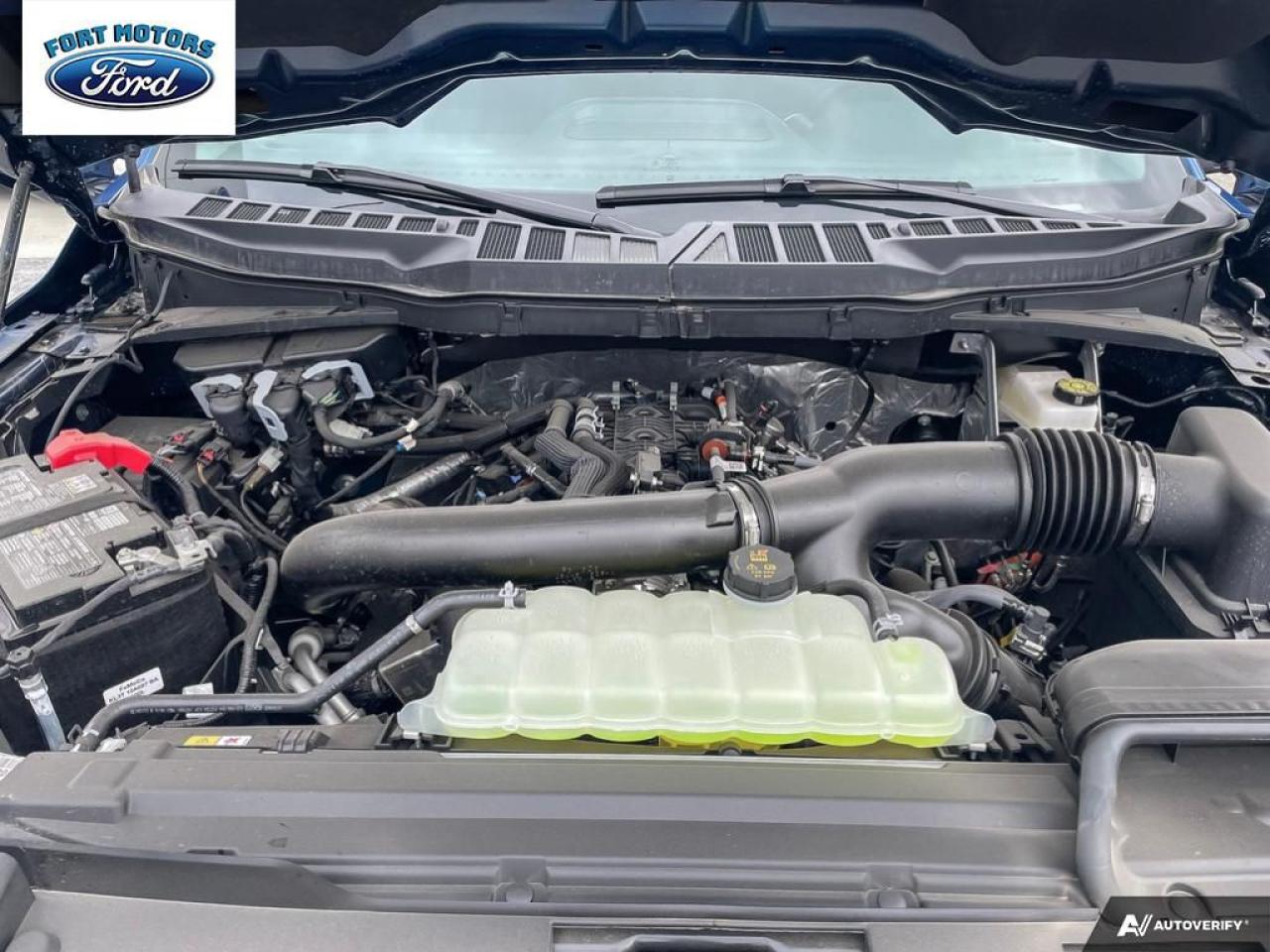 2025 Ford F-150 XLT Photo5