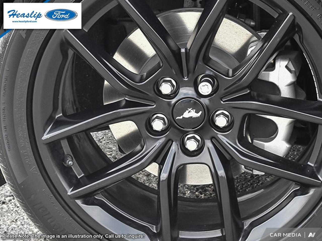 2025 Ford Mustang EcoBoost Premium Photo5