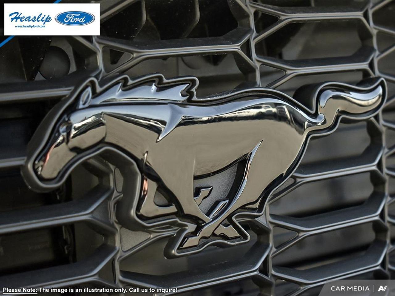 2025 Ford Mustang EcoBoost Premium Photo5