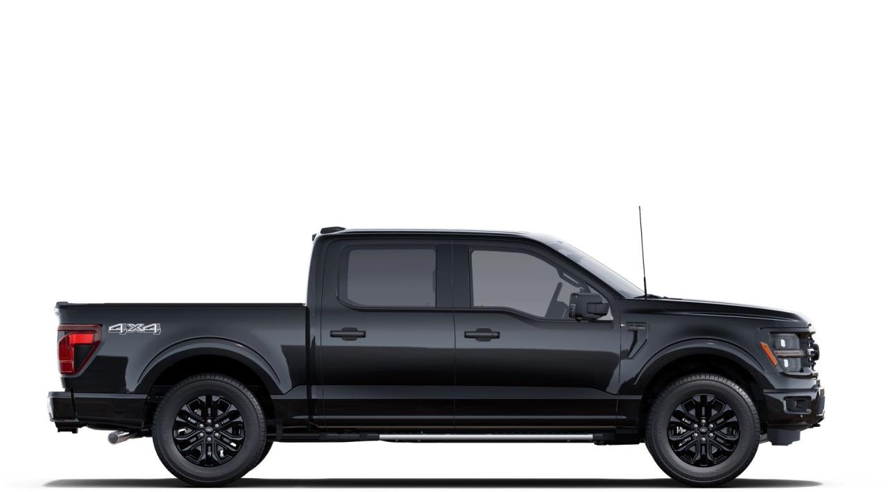 2025 Ford F-150 4x4 Supercrew-145 Photo4
