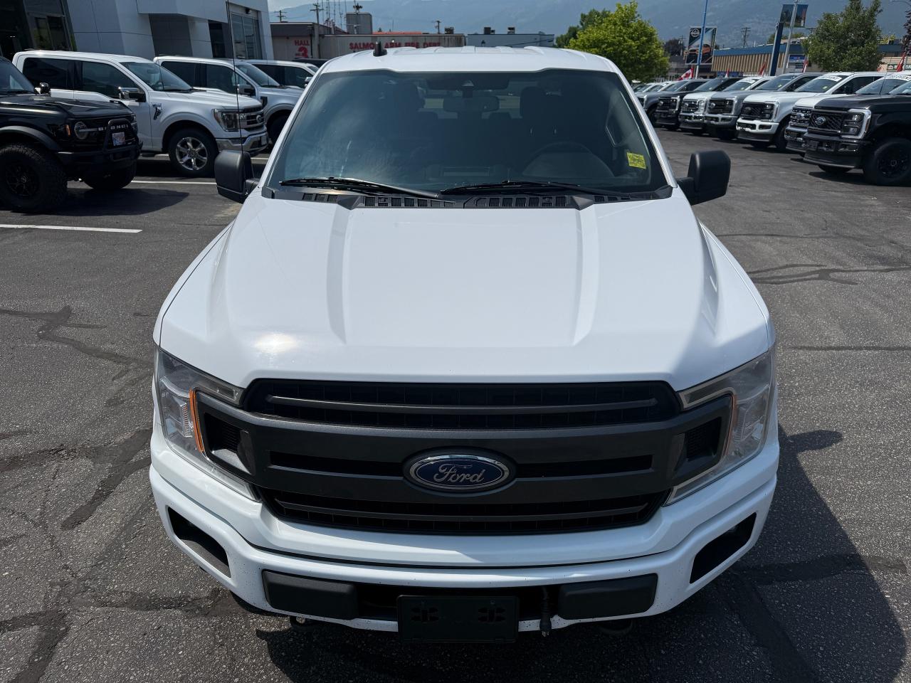 2020 Ford F-150 XLT Photo5