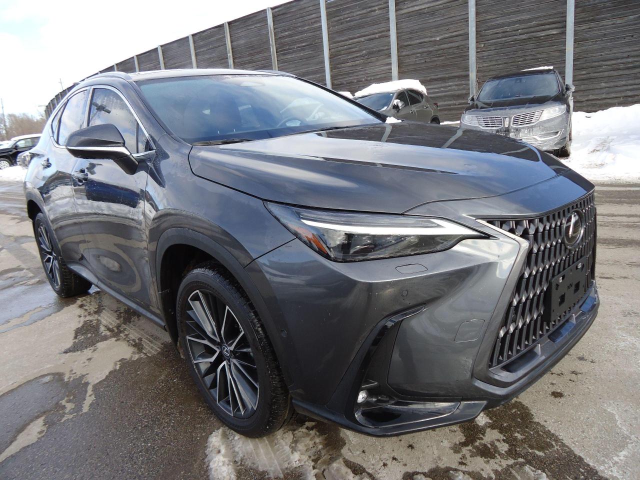 Used 2024 Lexus NX EXECUTIVE PLUS for sale in Toronto, ON