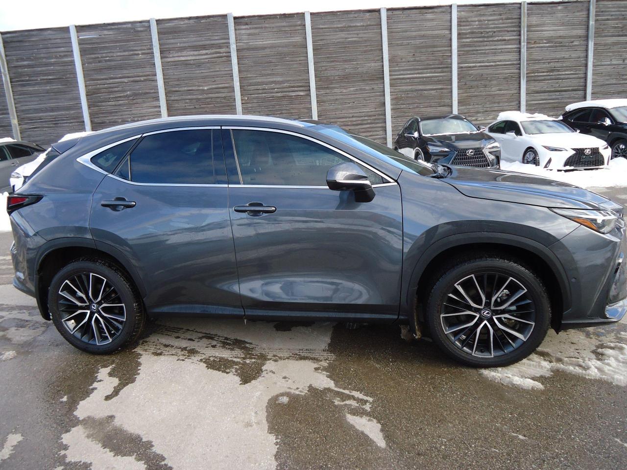 2024 Lexus NX EXECUTIVE PLUS - Photo #2