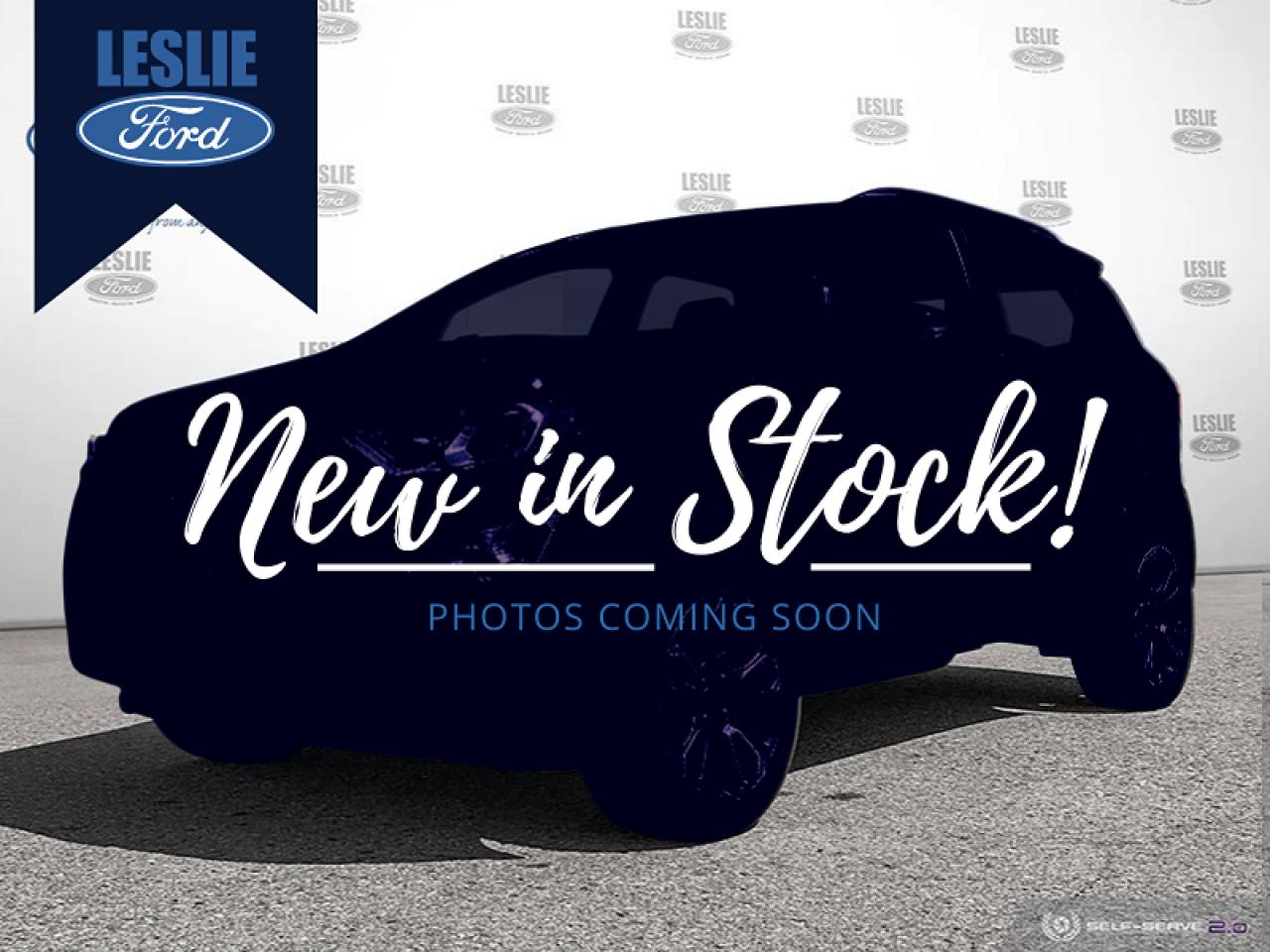 Used 2022 Ford EcoSport SE 4X4 for sale in Harriston, ON