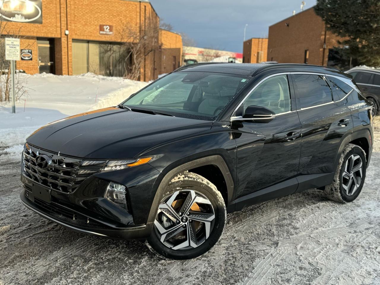 2024 Hyundai Tucson Hybrid Luxury Photo3