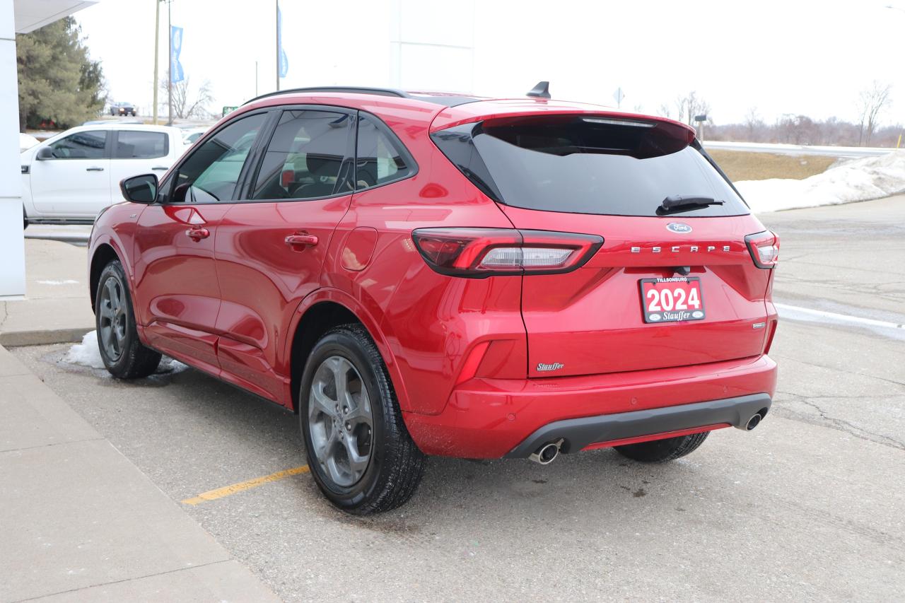 2024 Ford Escape ST-Line Select AWD Photo