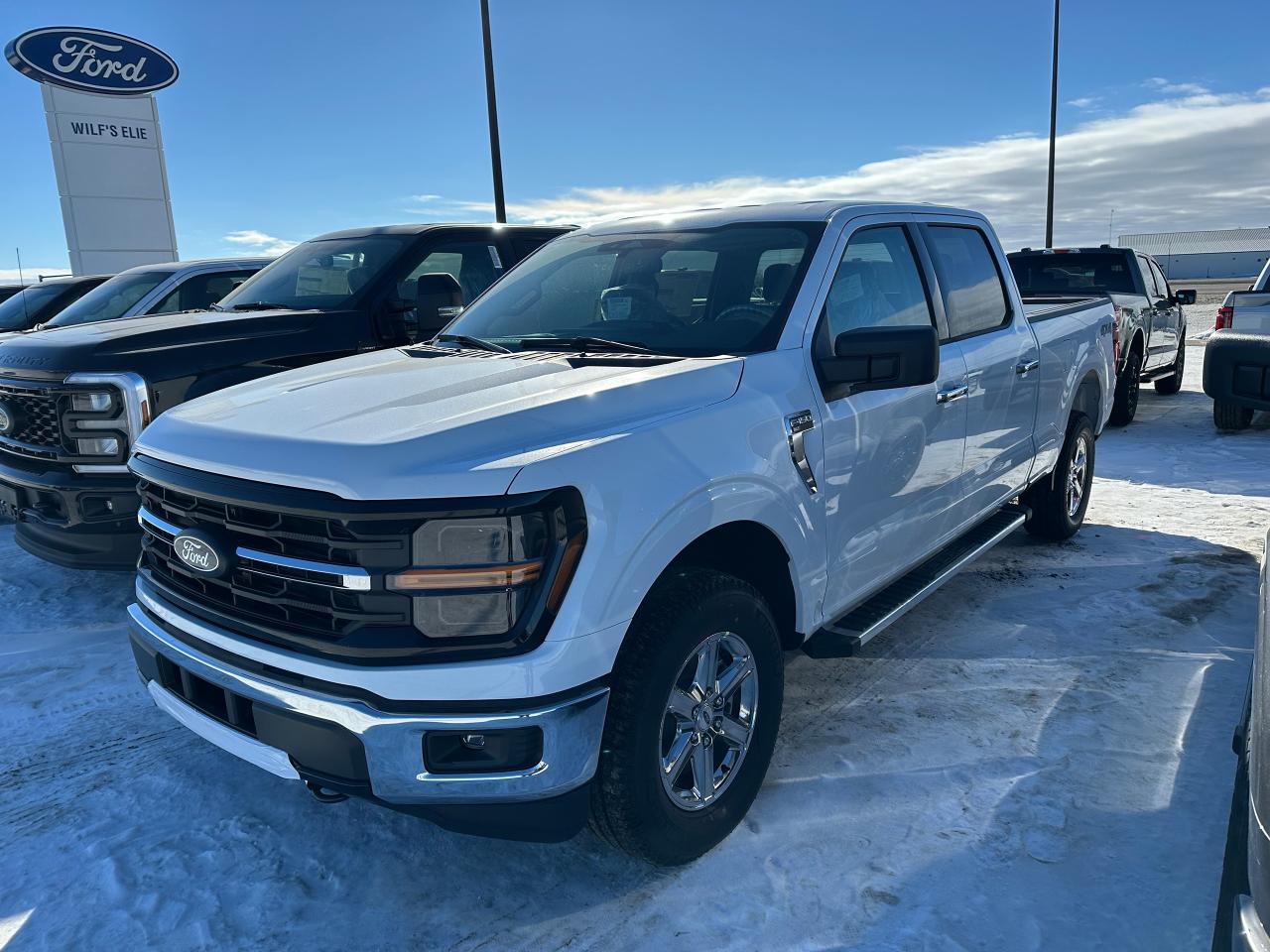 New 2025 Ford F-150 XLT 4WD SuperCrew 6.5' Box 301A for sale in Elie, MB