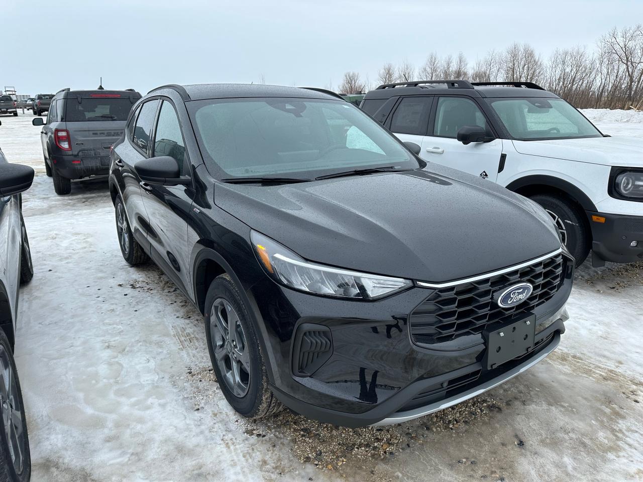 New 2025 Ford Escape ST-LINE AWD 300A for sale in Elie, MB