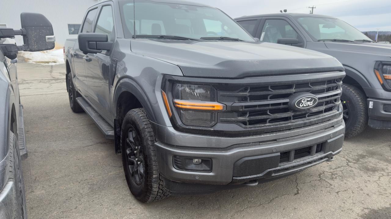 2025 Ford F-150 XLT Photo