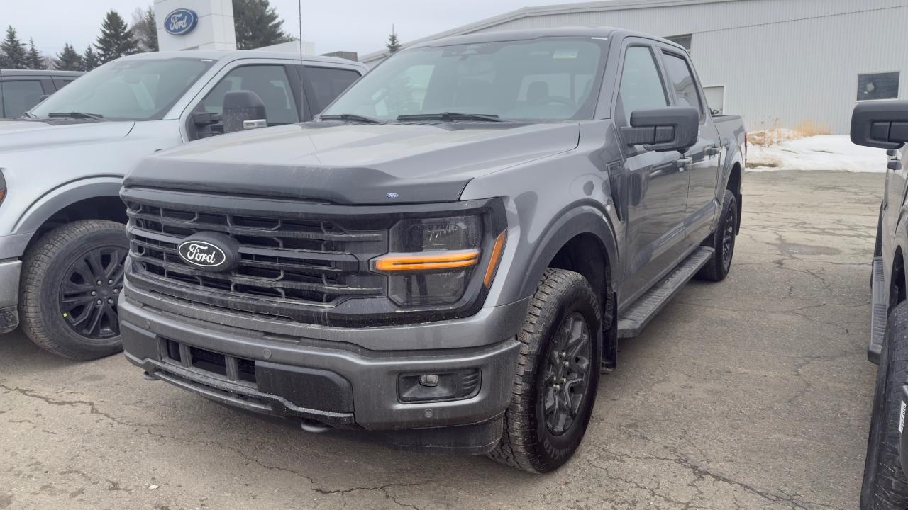 2025 Ford F-150 XLT Photo0