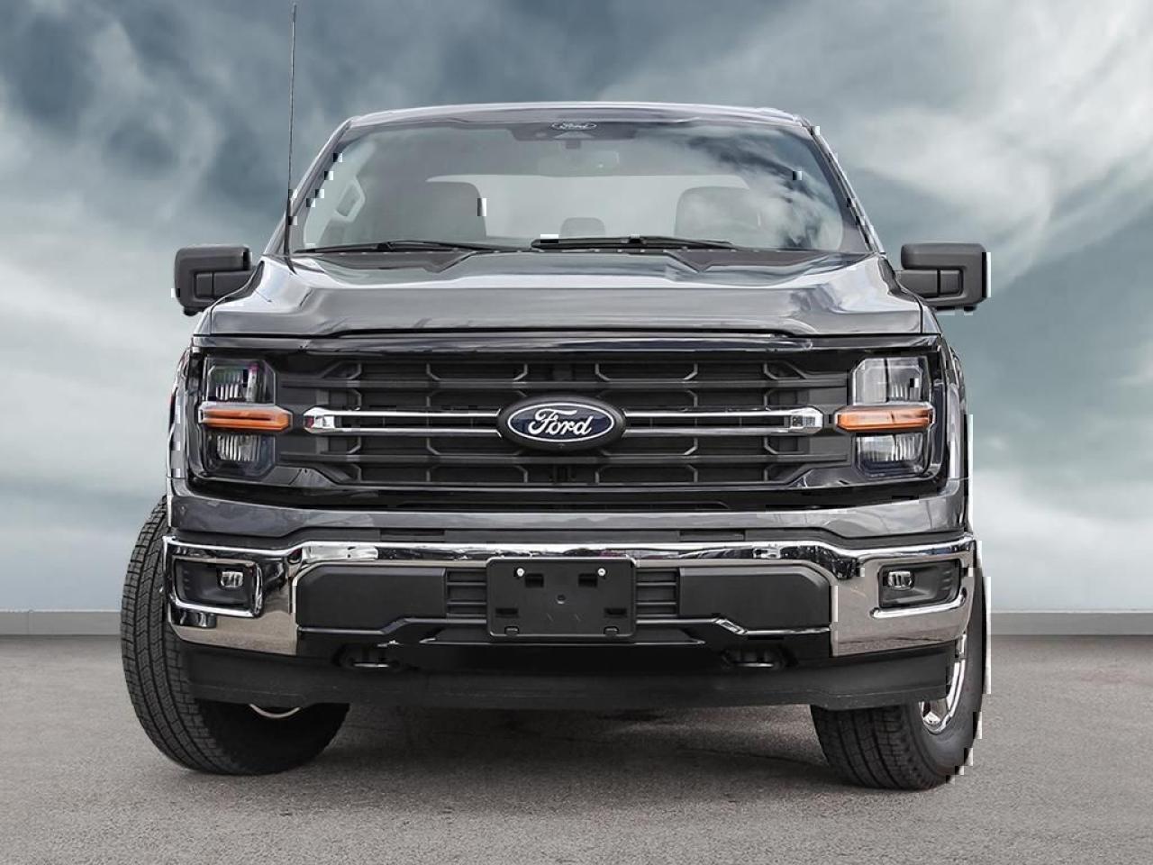 2025 Ford F-150 XLT Photo