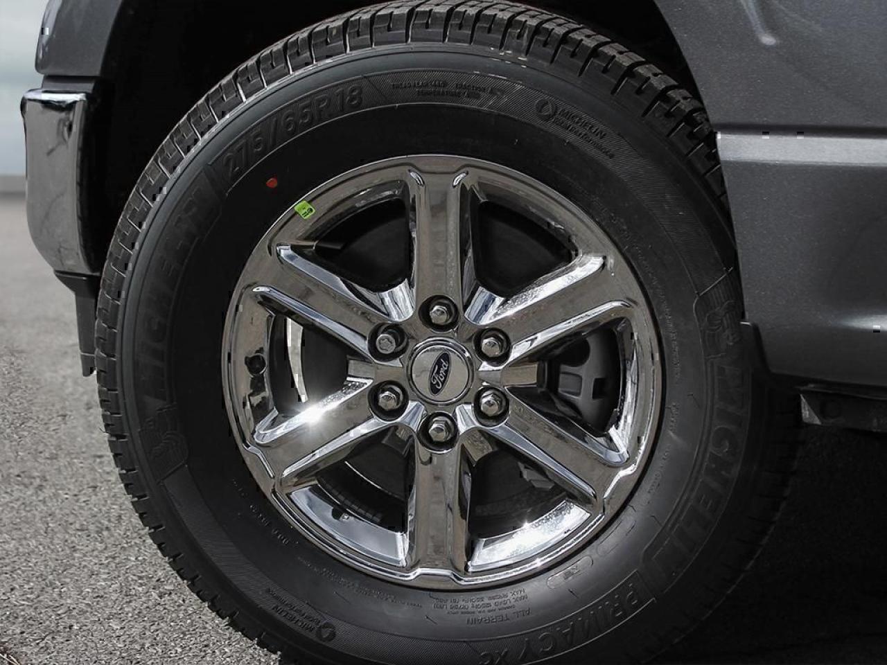 2025 Ford F-150 XLT Photo