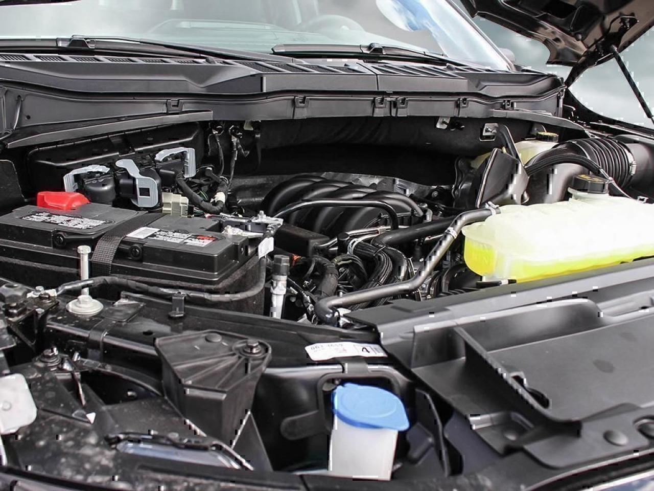 2025 Ford F-150 XLT Photo