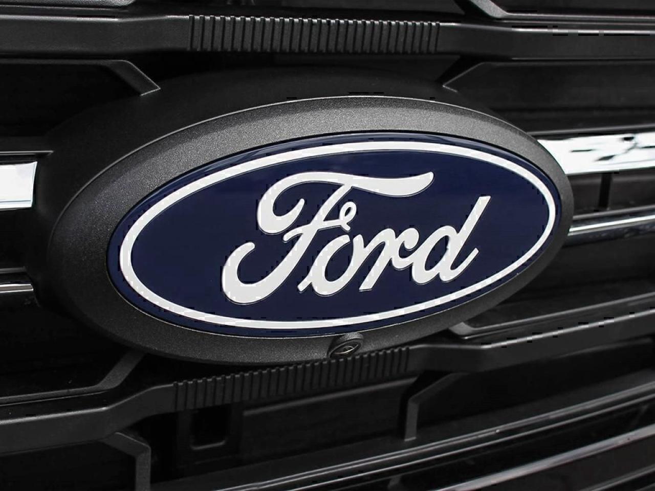 2025 Ford F-150 XLT Photo