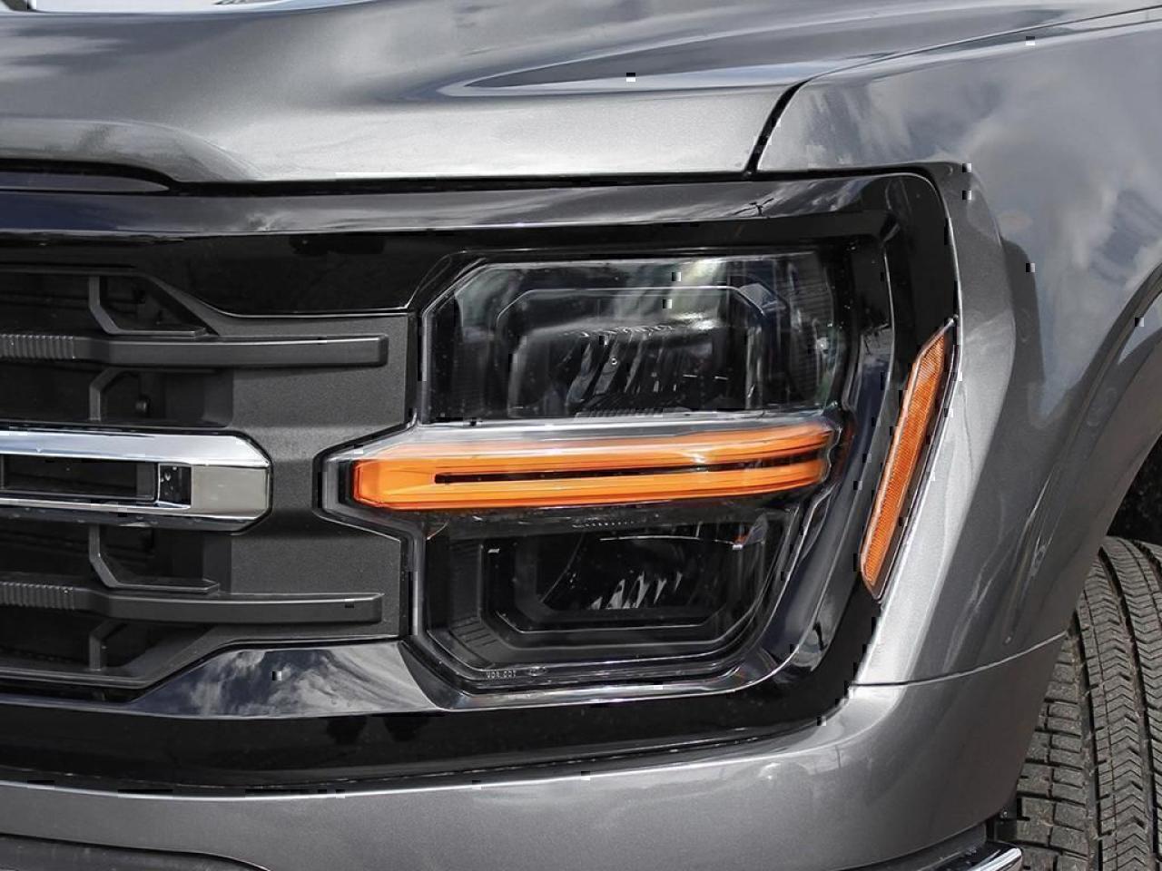 2025 Ford F-150 XLT Photo