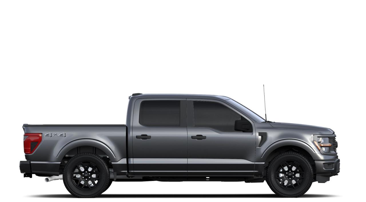 2024 Ford F-150 STX Photo4