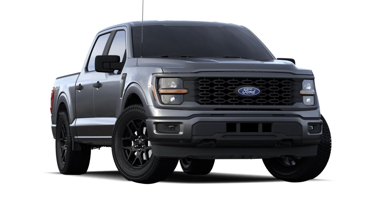 2024 Ford F-150 STX Photo