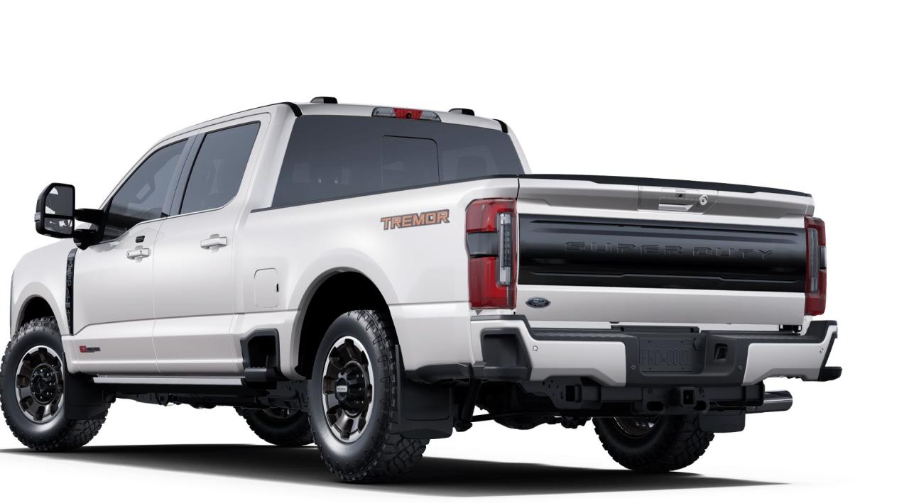 2025 Ford F-350 Super Duty SRW PLATINUM Photo