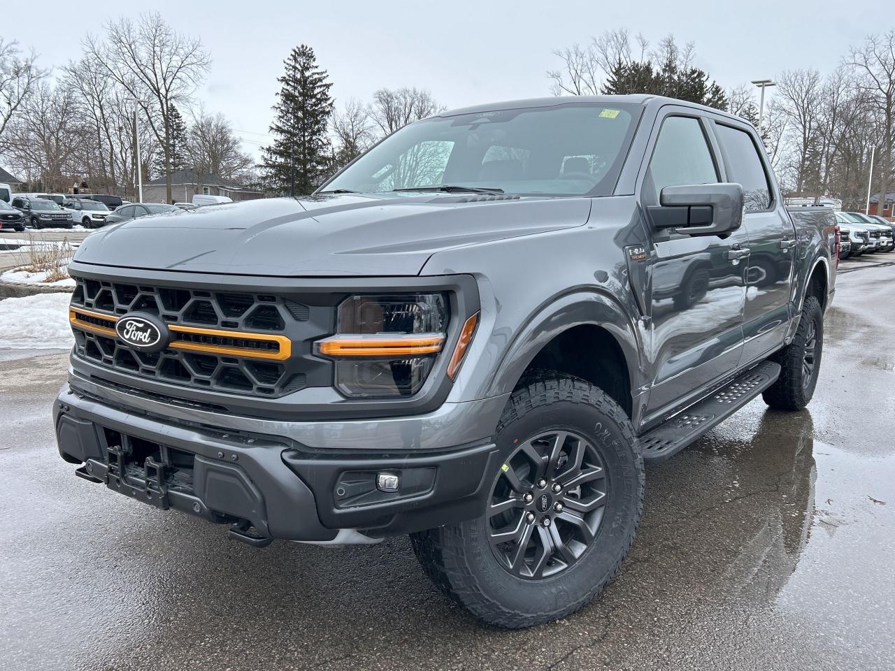 New 2025 Ford F-150 Tremor  - Sunroof for sale in Caledonia, ON