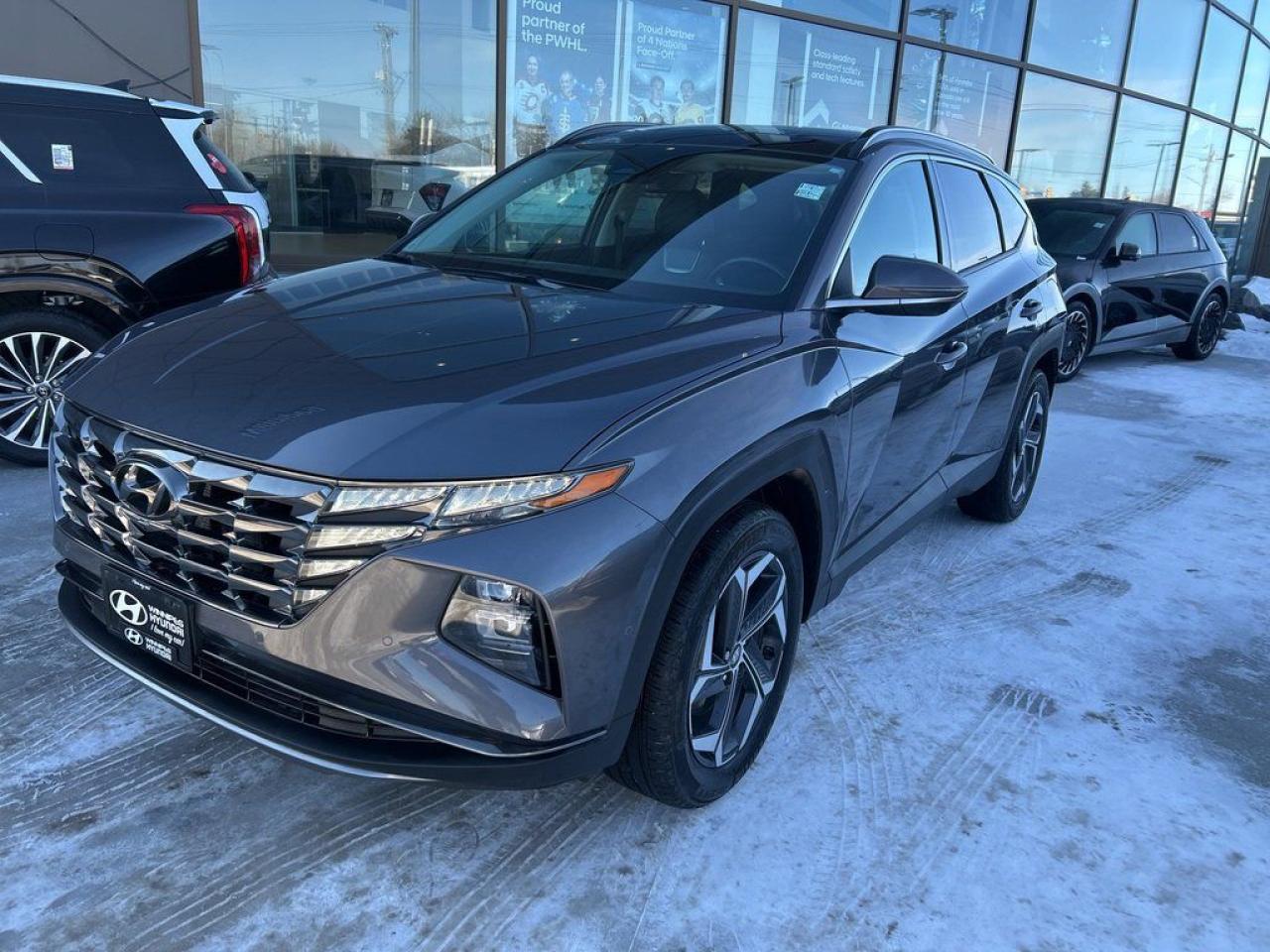 Used 2024 Hyundai Tucson Plug-In Hybrid Ultimate for sale in Winnipeg, MB