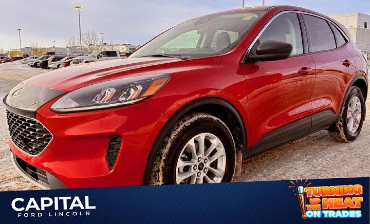 Used 2022 Ford Escape SE EcoBoost  AWD **New Arrival** for sale in Regina, SK