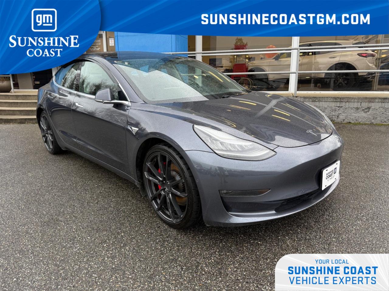 Used 2019 Tesla Model 3 Performance for sale in Sechelt, BC