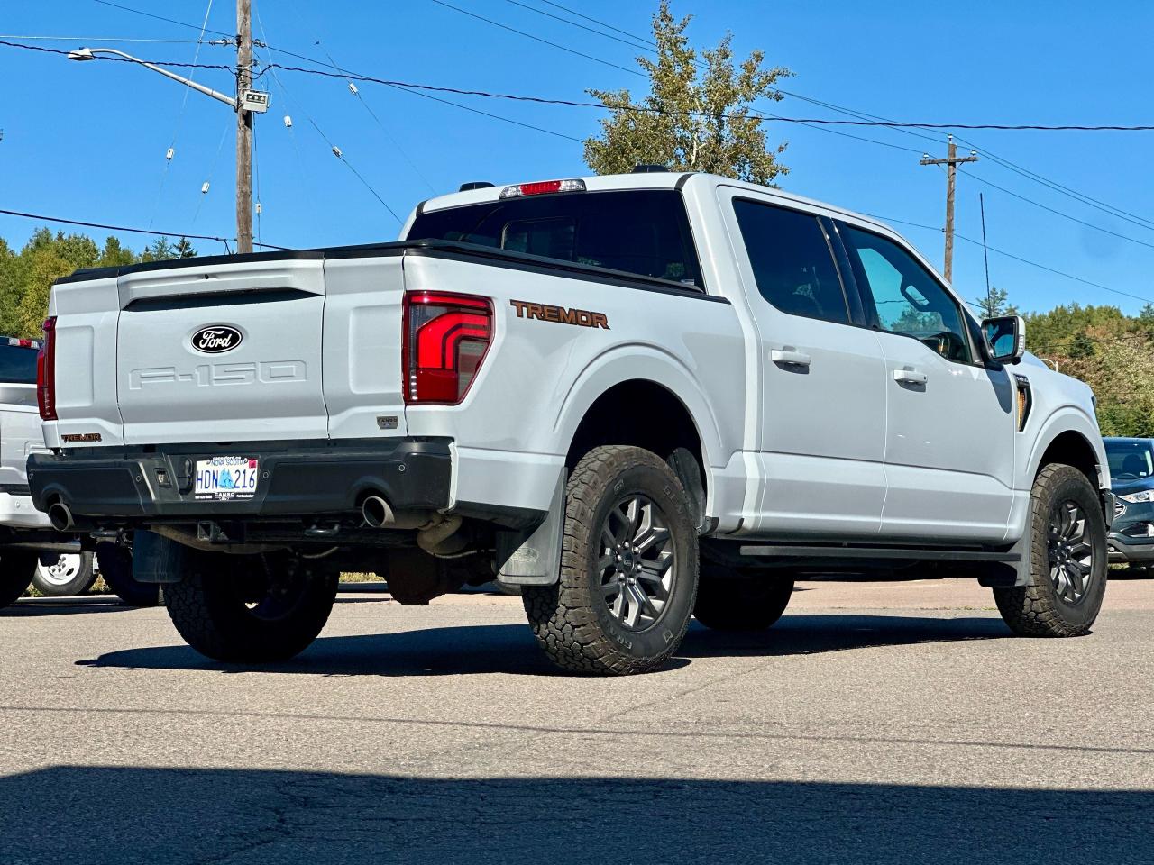 2025 Ford F-150 Tremor 4WD SuperCrew 5.5' Box Photo5