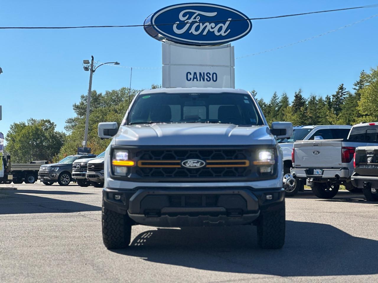 2025 Ford F-150 Tremor 4WD SuperCrew 5.5' Box Photo