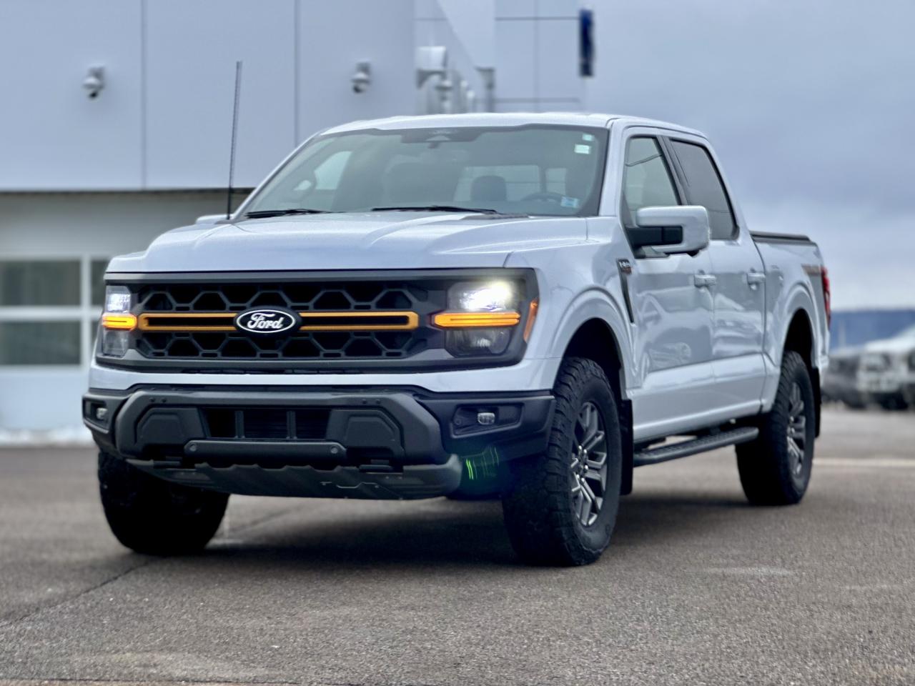 2025 Ford F-150 Tremor 4WD SuperCrew 5.5' Box Photo2