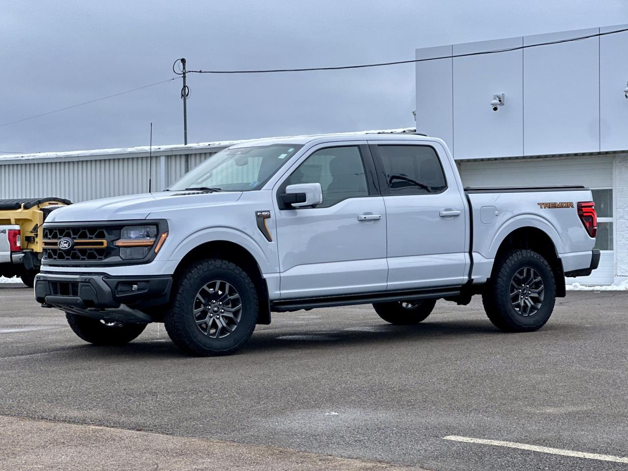 2025 Ford F-150 Tremor 4WD SuperCrew 5.5' Box Photo3