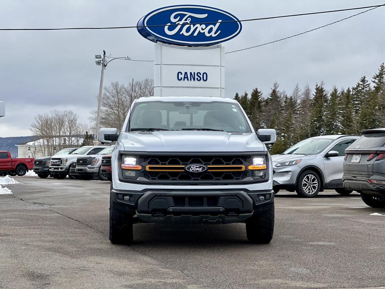 2025 Ford F-150 Tremor 4WD SuperCrew 5.5' Box Photo1