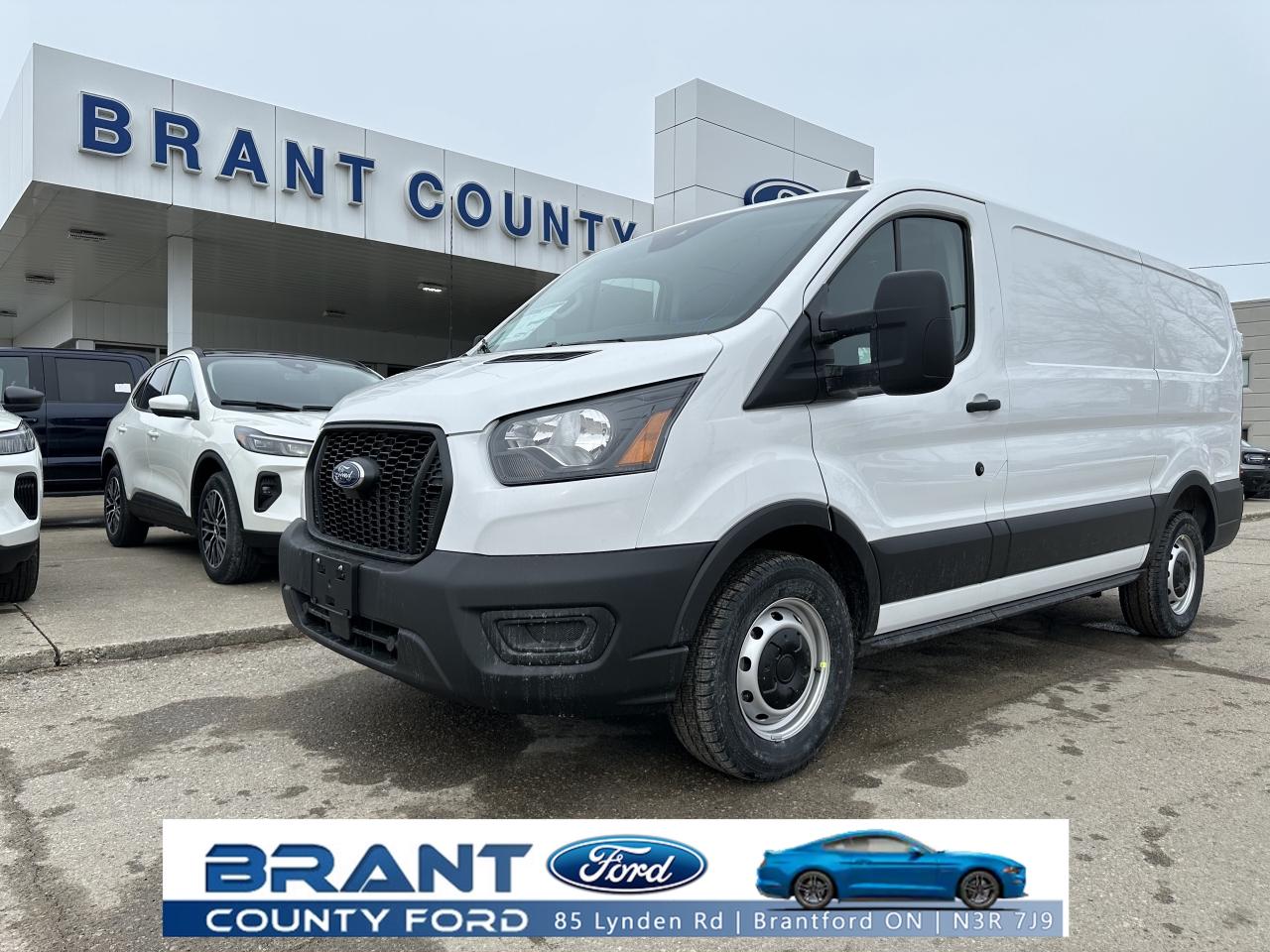 New 2025 Ford Transit Cargo Van T-250 148  Low Rf 9070 GVWR RWD for sale in Brantford, ON