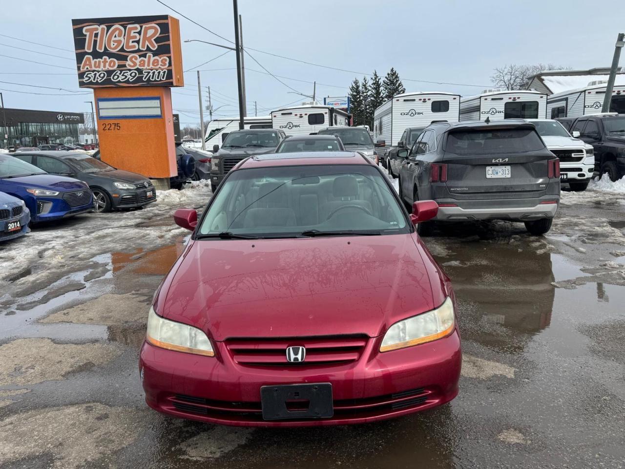 2002 Honda Accord RUNS GOOD, UNDERCOATED, NO ACCIDENT, AS IS - Photo #8