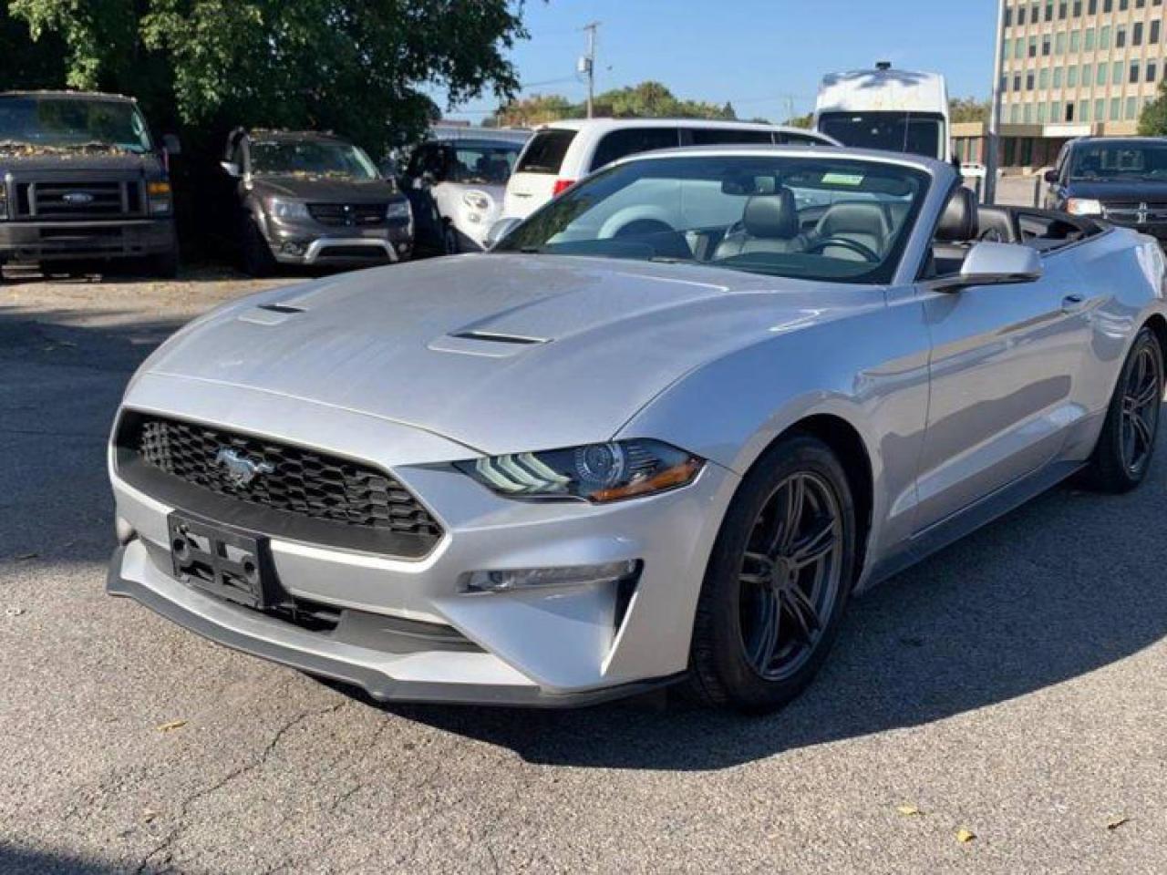 Used 2018 Ford Mustang EcoBoost Premium Convertible | Leather | Nav | Cooled + Heated Seats | Rear Camera | and much more! for sale in Guelph, ON