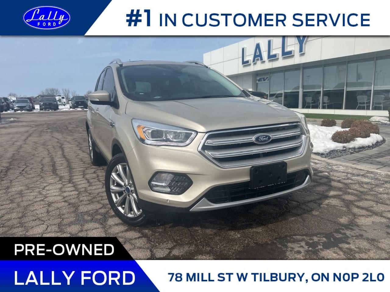 Used 2018 Ford Escape Titanium, Only 66,845 kms, Moonroof, Nav, AWD! for sale in Tilbury, ON