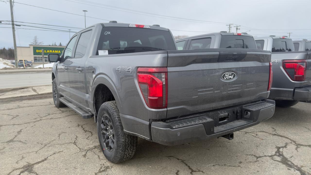 2025 Ford F-150 XLT Photo2