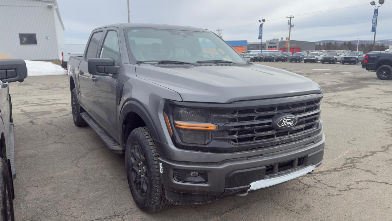 2025 Ford F-150 XLT Photo1