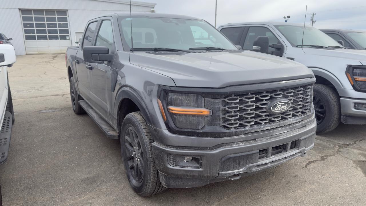 2025 Ford F-150  Photo