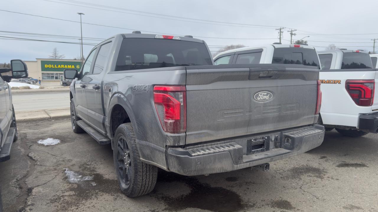 2025 Ford F-150  Photo