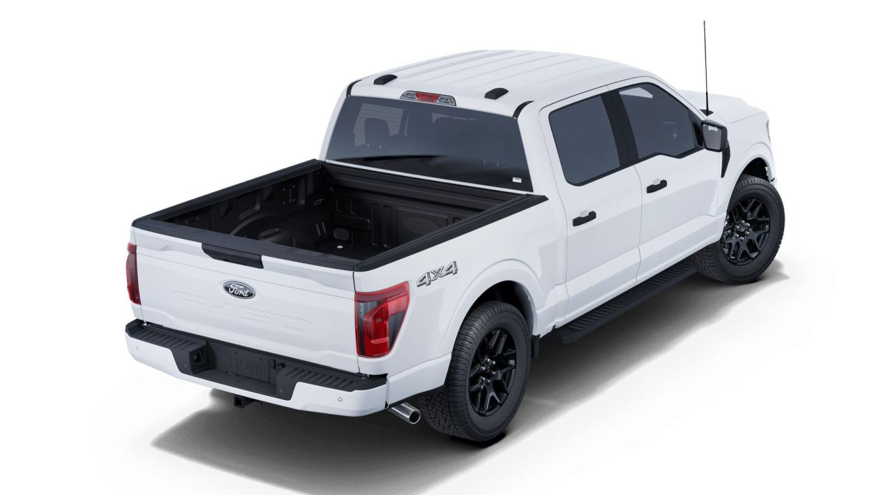2025 Ford F-150 STX® Photo2