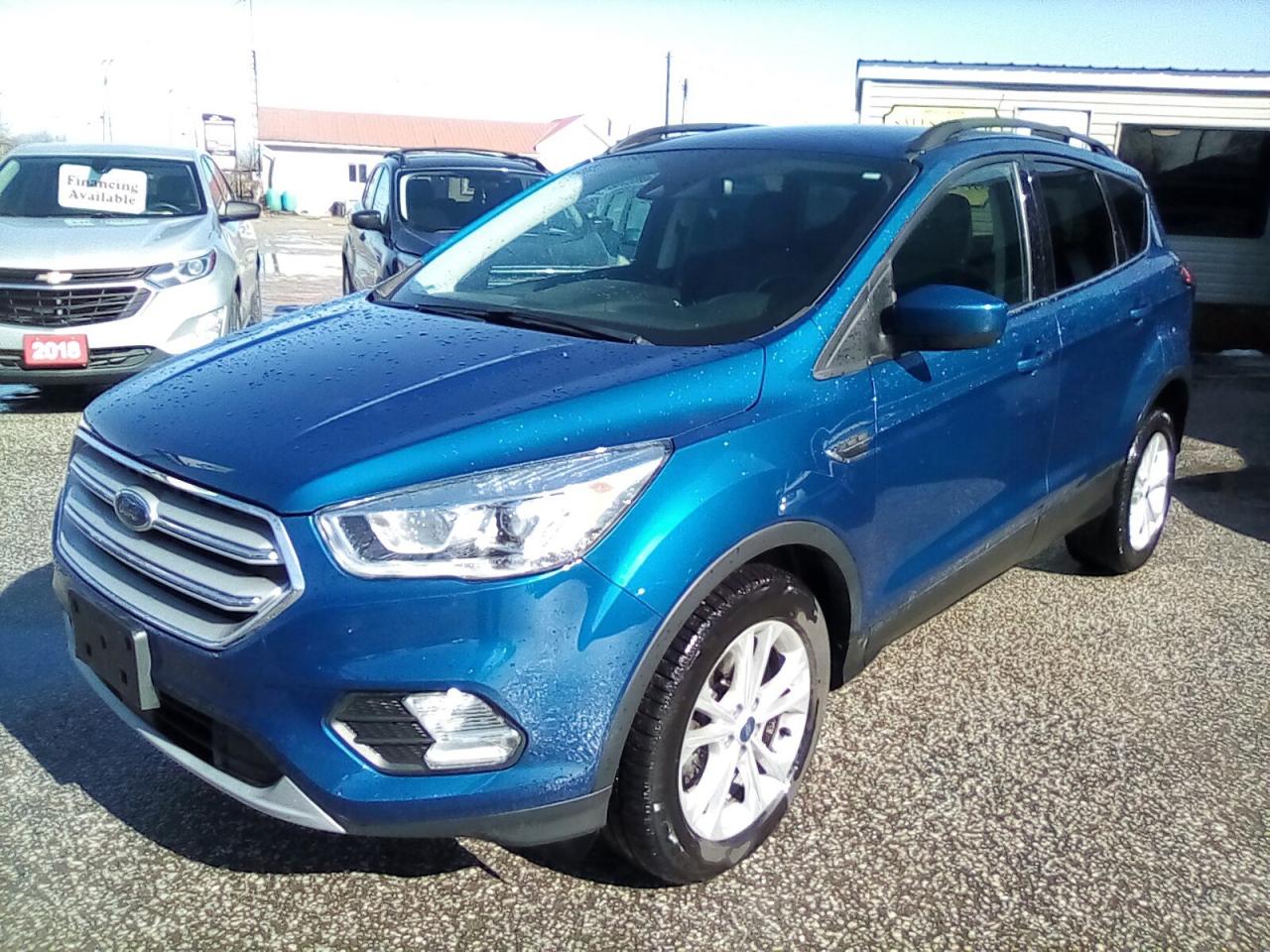 Used 2019 Ford Escape SEL FWD for sale in Leamington, ON