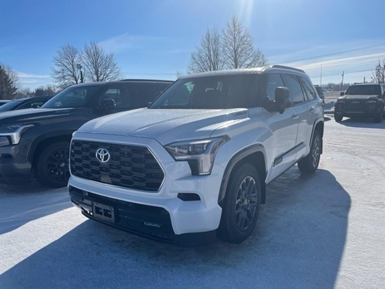 New 2025 Toyota Sequoia Platinum for sale in Portage la Prairie, MB