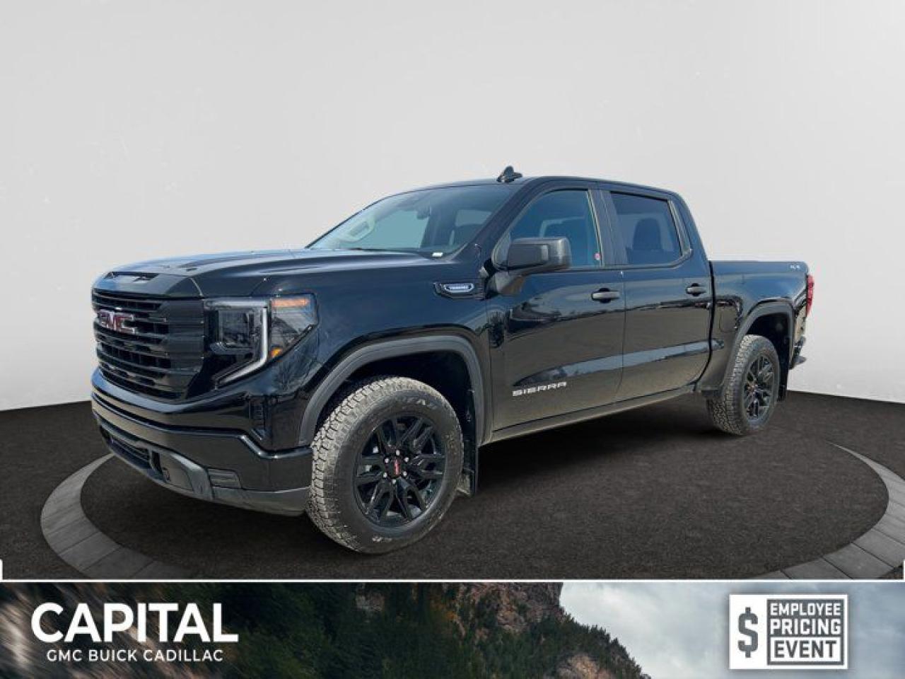 New 2025 GMC Sierra 1500 PRO for sale in Regina, SK